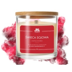 Big Nature Świeca Sojowa DIOR FAHRENHEIT 215 g