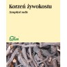 Flos Żywokost korzeń 50G
