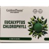Eukaliptus + Chlorofilipt 24 tabletki po 500 mg