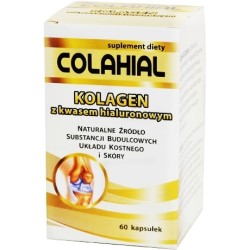 Gorvita Kolagen Z Kwasem Hialuronowym  60 K