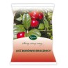 Kawon Liść Borówki Brusznicy 50 g