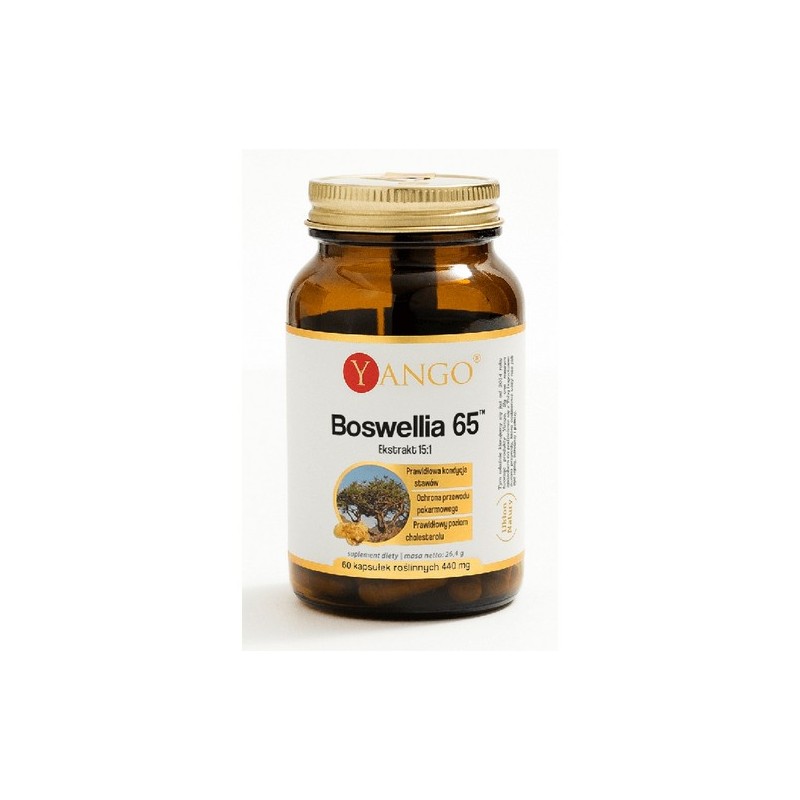 Yango Boswellia 65™ 60 kaps.