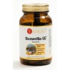 Yango Boswellia 65™ 60 kaps.