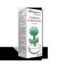 Herbapol Eliksir z Karczocha 100 ml cholesterol