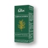 Flos Ashwagandha  macerat olejowy 45 ml
