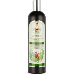 Babuszka Agafia Szampon Brzozowy Nr 2 550 ml