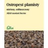 Flos Ostropest Plamisty Mielony 100G
