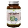 Medverita Berberys 60 k