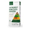 Medica Herbs Ostropest Karczoch Mniszek 60 k