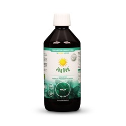 Joy Day EKO Koncentrat Mięta 500Ml