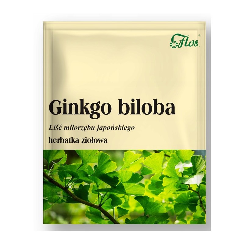 Flos Ginkgo biloba Liść miłorzębu japońskiego 50G