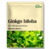 Flos Ginkgo biloba Liść miłorzębu japońskiego 50G
