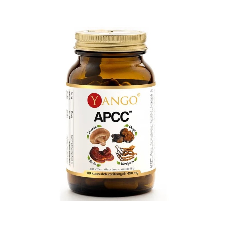 Yango Apcc 100 K. Kompleks Grzybów