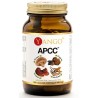 Yango Apcc 100 K. Kompleks Grzybów
