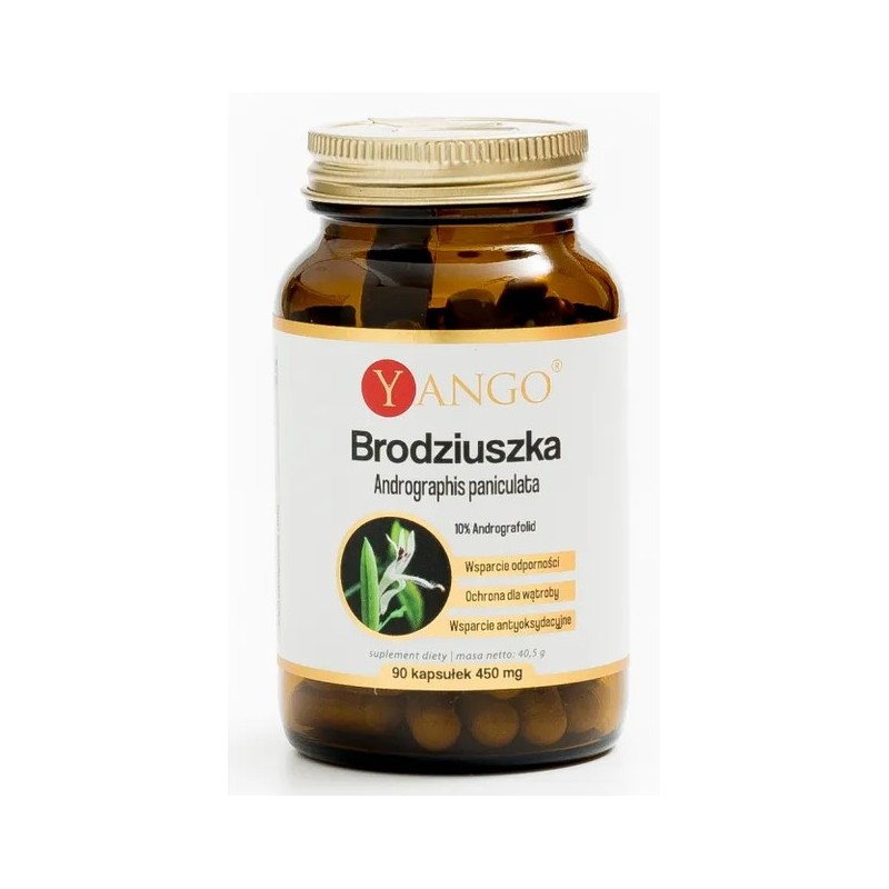 Yango Brodziuszka 90 k