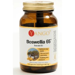 Yango Boswellia 65™ 90 kaps.