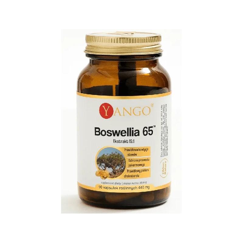 Yango Boswellia 65™ 90 kaps.