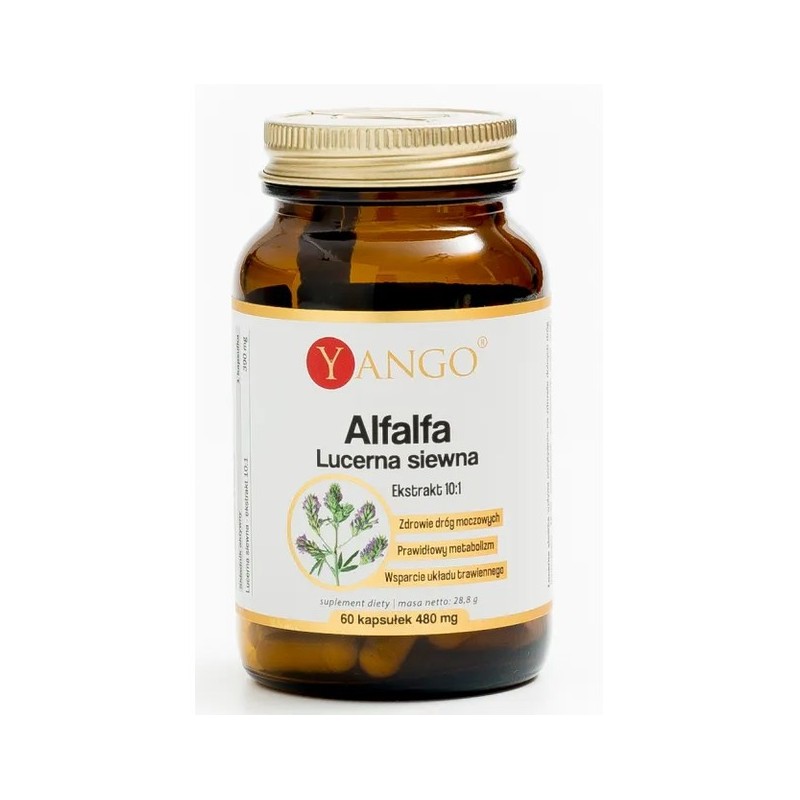 Yango Alfalfa lucerna siewna 480 mg 60 kapsułek