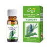 Etja Olejek Pichtowy 10 Ml