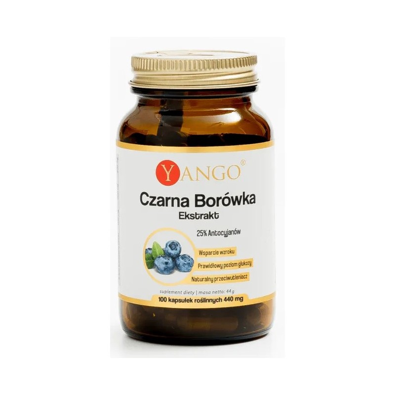 Yango Czarna Borówka 100 k