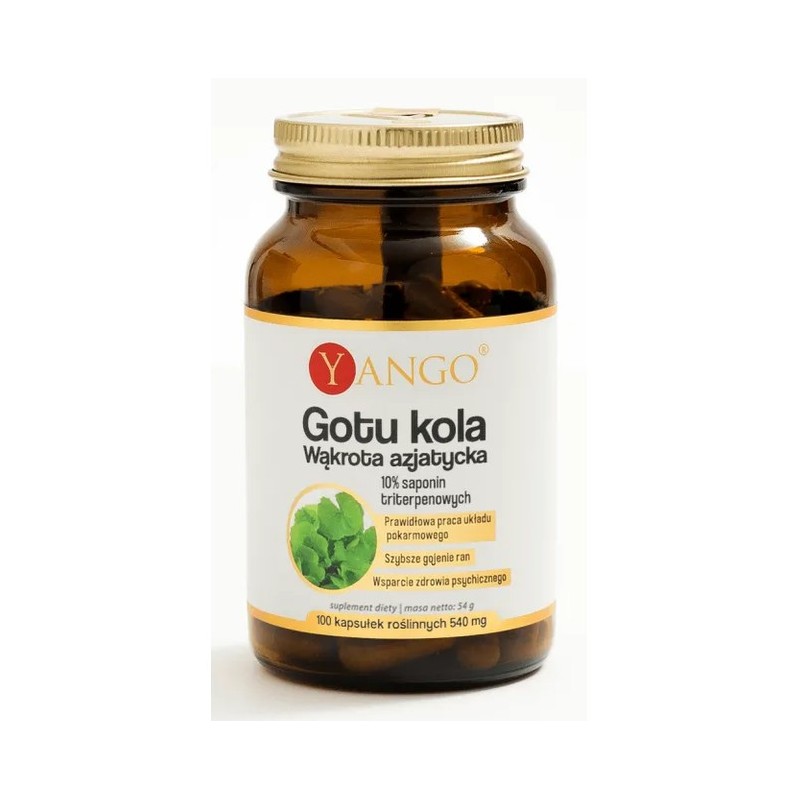 Yango GOTU KOLA 100 k