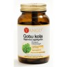 Yango GOTU KOLA 100 k