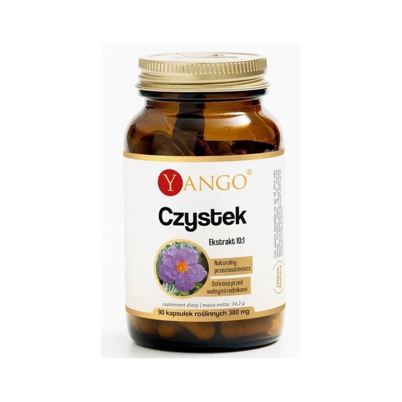 Yango Czystek 90 k