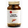 Yango Czynniki lipotropowe 90 k