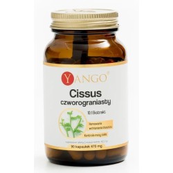 Yango Cissus Czworograniasty 470 mg 90 k