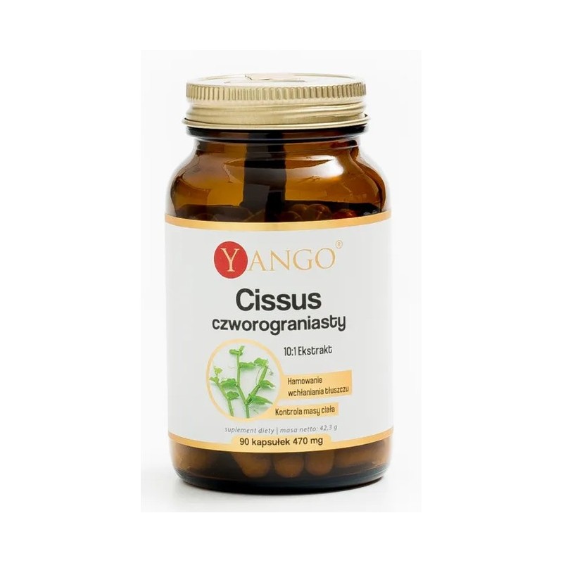 Yango Cissus Czworograniasty 470 mg 90 k