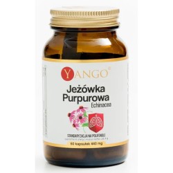 Yango Jeżówka purpurowa Echinacea 60 k