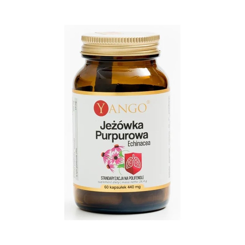 Yango Jeżówka purpurowa Echinacea 60 k
