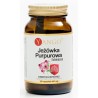 Yango Jeżówka purpurowa Echinacea 60 k