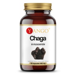 Yango Chaga 90 Kapsułek