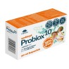 Virde Synbiotyk Probiox10 40 K 9 Szczepów