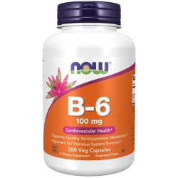 Now Foods Witamina B 6 250 kap