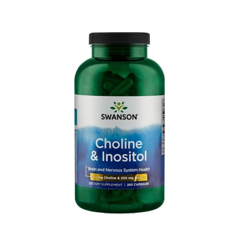 Swanson Cholina & Inozytol 250 K