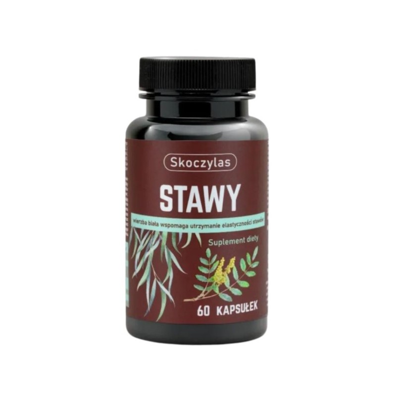 Skoczylas Stawy 60 kap