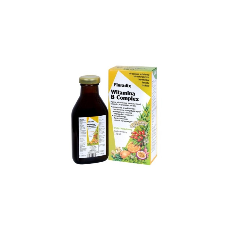 Zioło-Piast Floradix Witamina B Complex 250 ml