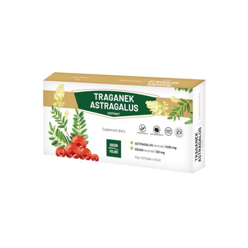 Ginseng Poland Traganek Astragalus 10 X 10 fiolek