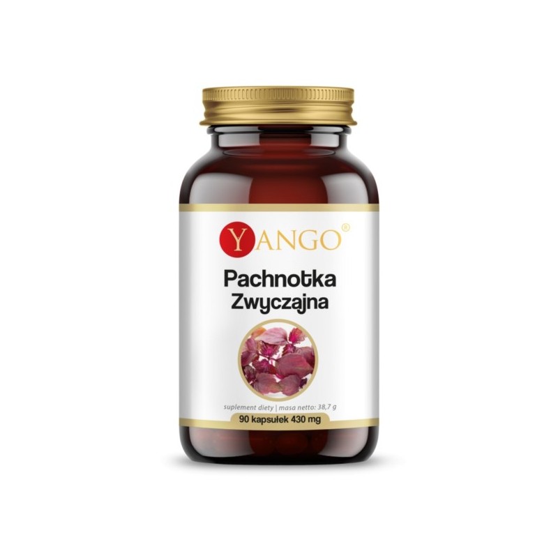 Yango Pachnotka zwyczajna 90 kap