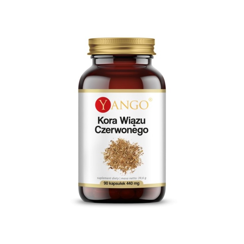 Yango Kora Wiązu Czerwonego 90 k