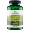 Swanson Kompleks Cynamon Gymnema Morwa 120 K