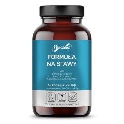 Panaseus Formuła na stawy 50 k