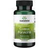 Swanson Fs Coleus Forskohlii 400 Mg 60 K