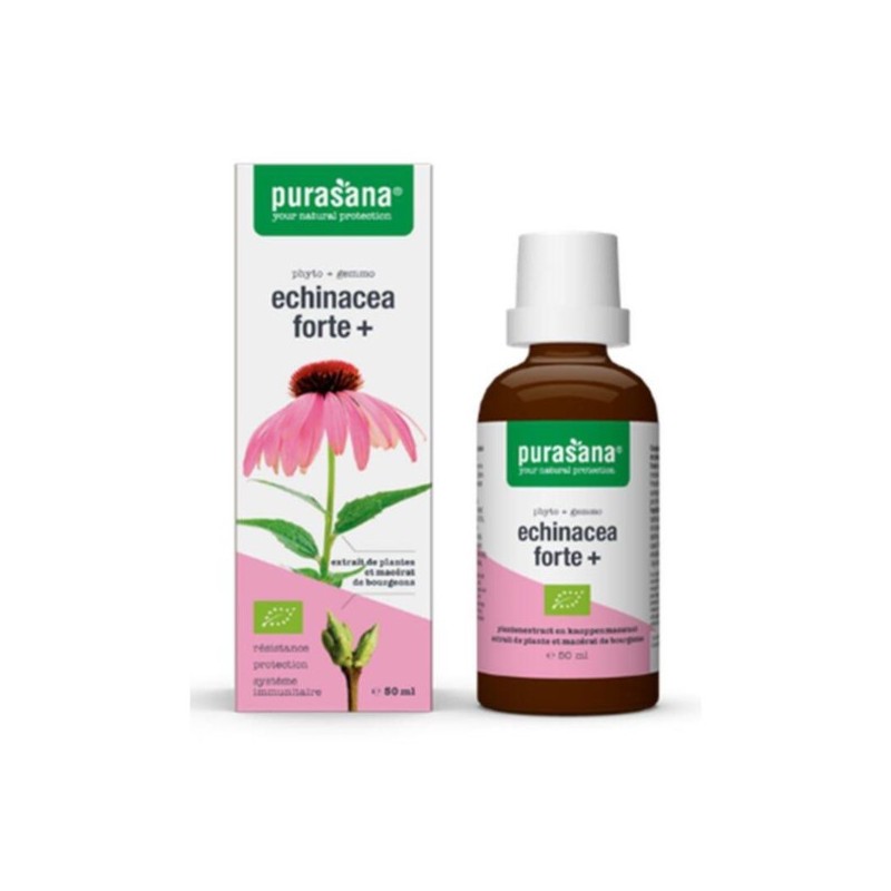 Purasana Echinacea Forte jeżówka purpurowa bio 50