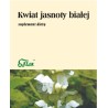 Flos Jasnota Kwiat 25G