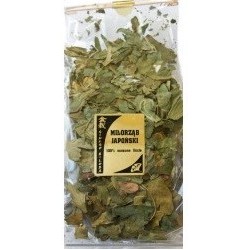 Astron Miłorząb Japoński 100% Liście  100G,