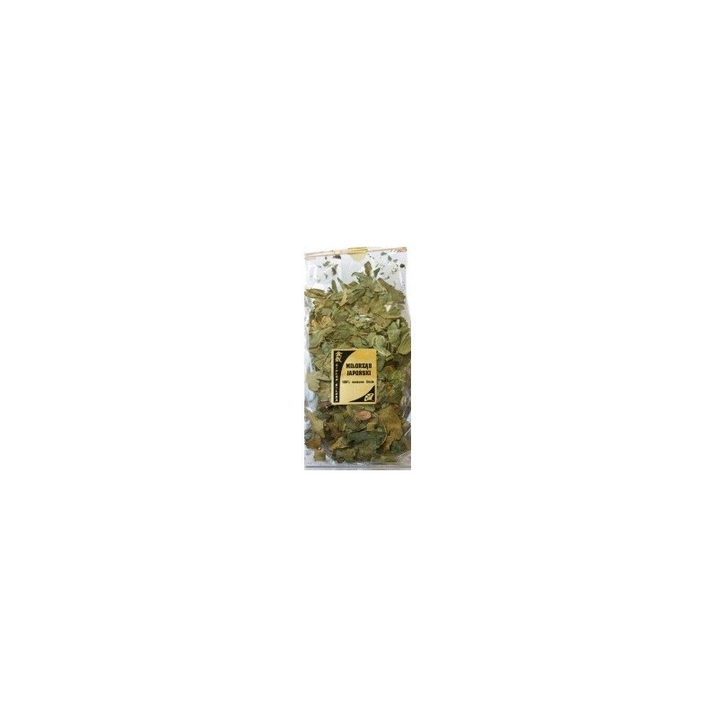 Astron Miłorząb Japoński 100% Liście  100G,