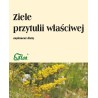 Flos Przytulia Właściwa Ziele 50G